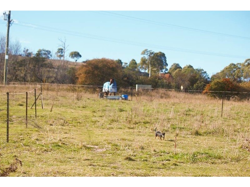 Armidale NSW 2350