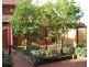 Middle Park VIC 3206