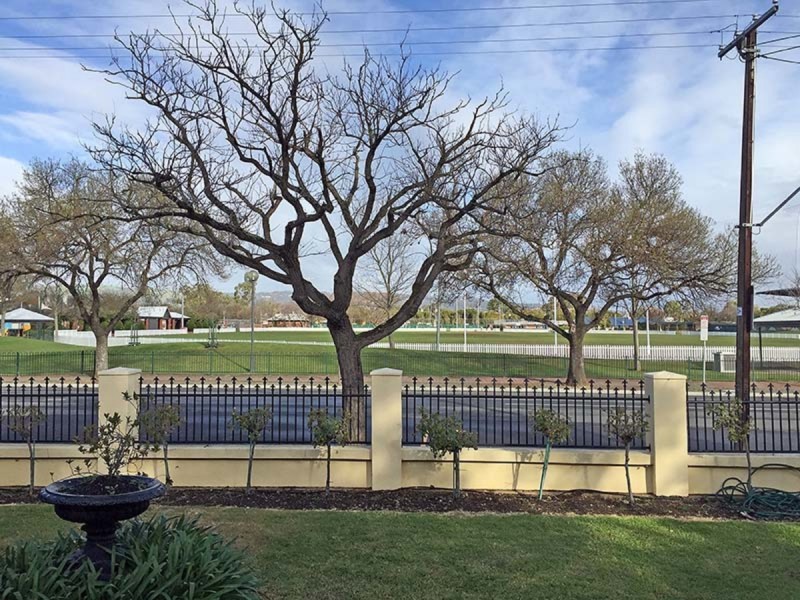 56 Frederick Street, Unley SA 5061