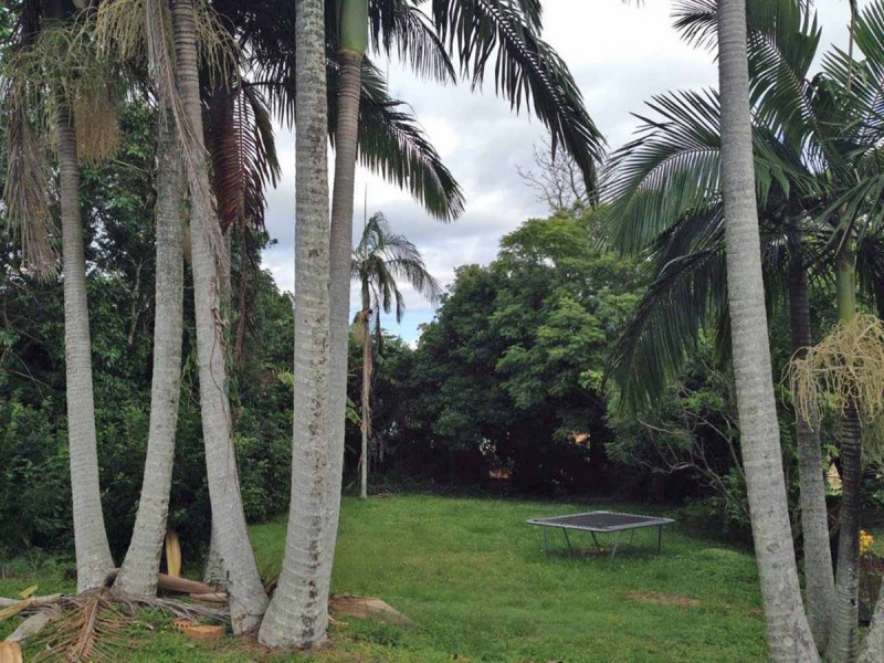 198 Daisy Hill Road, Daisy Hill QLD 4127