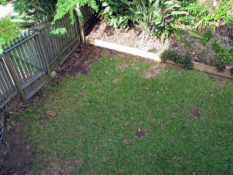 53/36 Weedons Road, Nerang QLD 4211