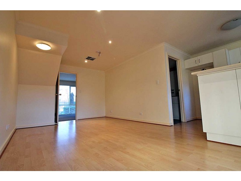 33 Frederick Street, Richmond SA 5033