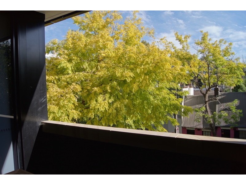 41/299 Forbes Street, Darlinghurst NSW 2010