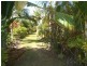 207 Greenslopes Street, Edge Hill QLD 4870