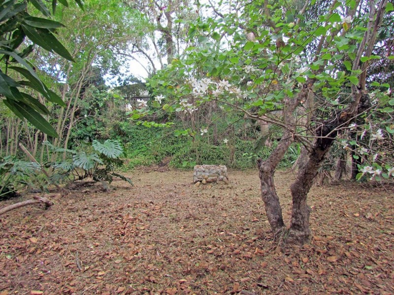 309 Mills Avenue, Frenchville QLD 4701