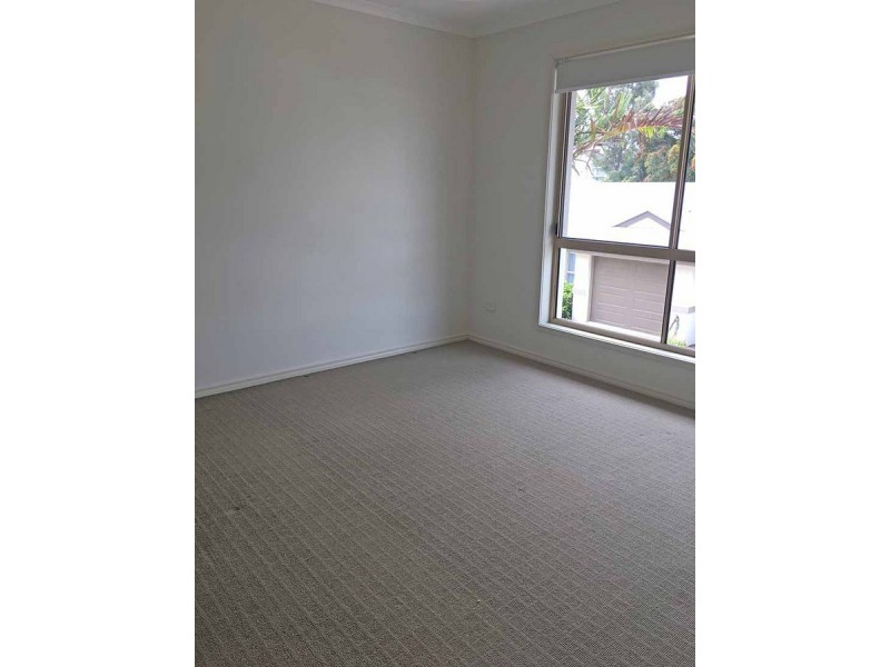 14/9 Watson Street, Pialba QLD 4655