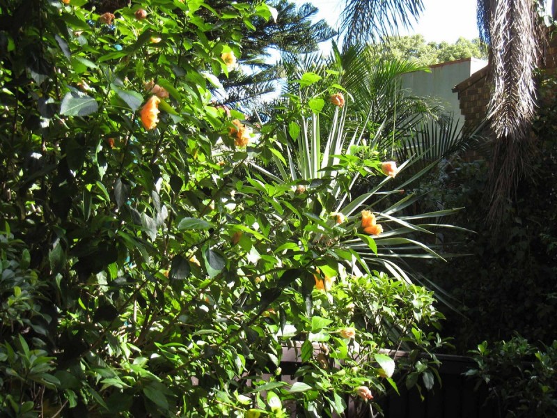 South Yarra VIC 3141