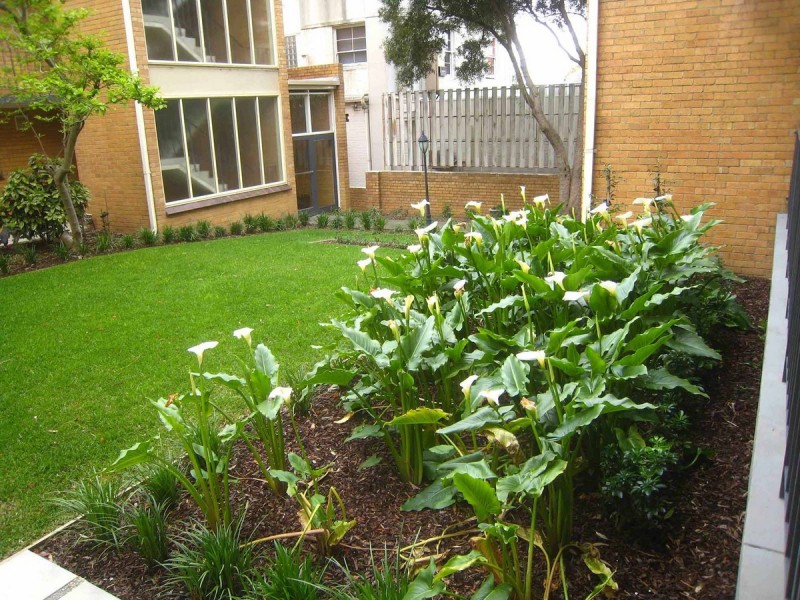 South Yarra VIC 3141