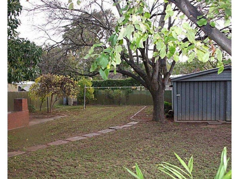 83 Allinga Avenue Street, Glenunga SA 5064