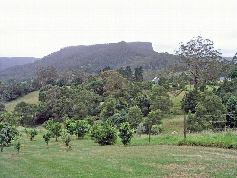 91 Wattamolla Road, Berry NSW 2535