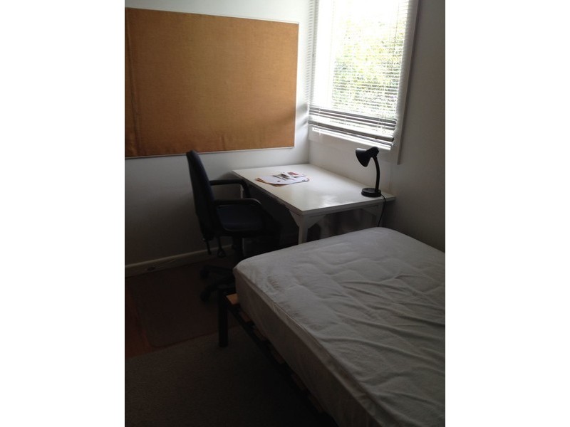 211 Roslyn Road, Belmont VIC 3216