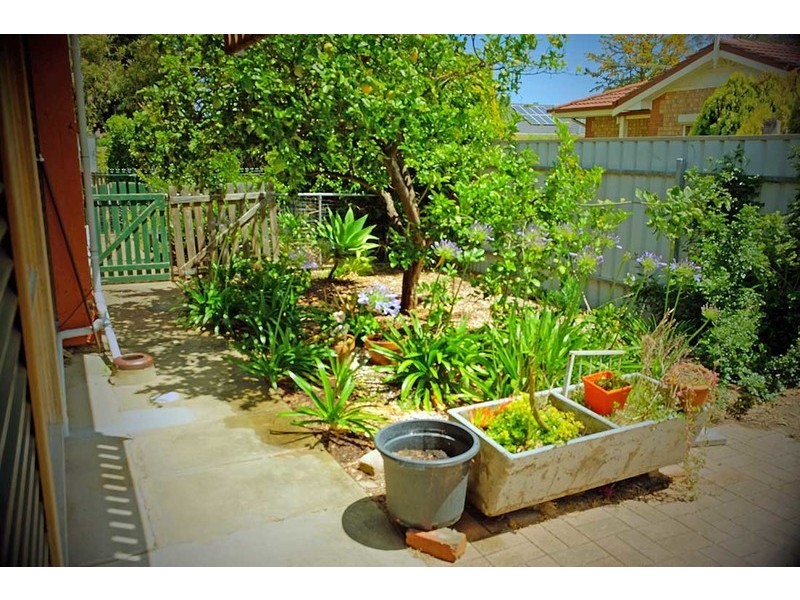 79 Jervois Street, South Plympton SA 5038