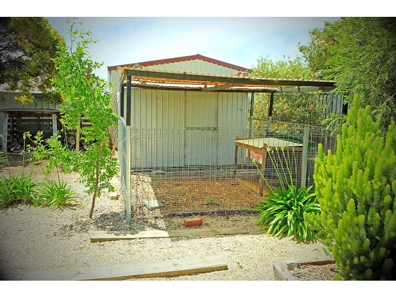 79 Jervois Street, South Plympton SA 5038