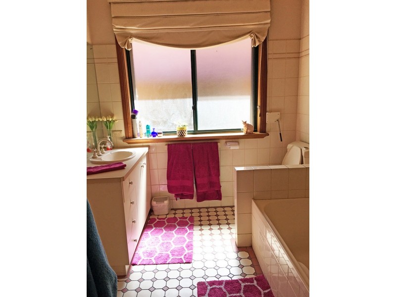 237A Beulah Road, Beulah Park SA 5067