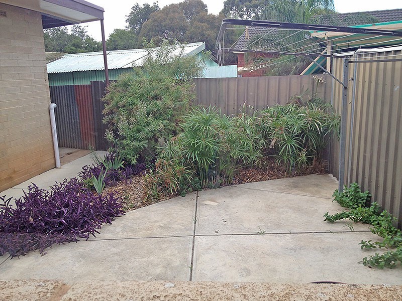 2A Woodmere Avenue, Mitchell Park SA 5043