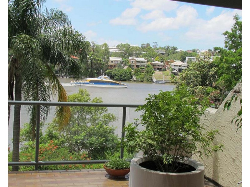 2/164 Macquarie Street, St Lucia QLD 4067