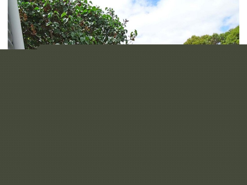29 Hooper Road, Strathalbyn SA 5255