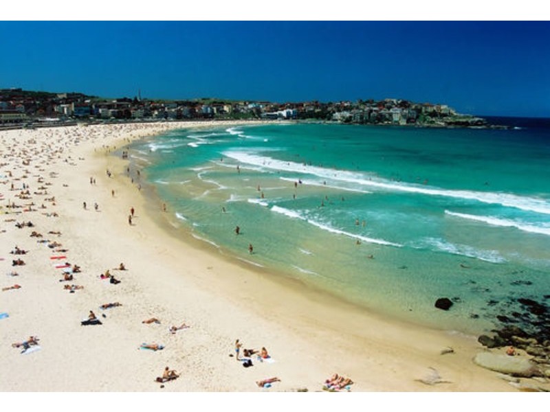 41 Watson Street, Bondi NSW 2026