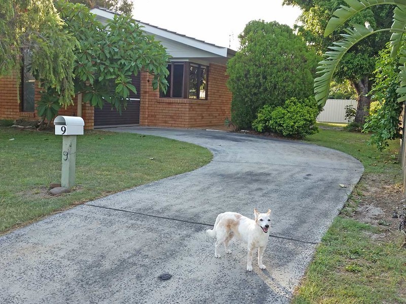9 Cook Street, Yamba NSW 2464