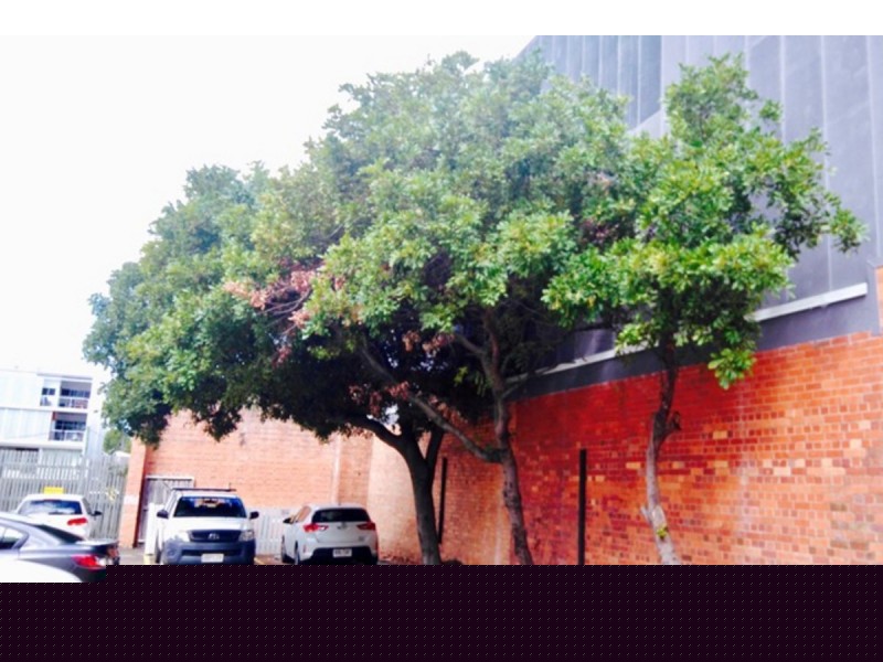 12/913-915 Ann Street, Fortitude Valley QLD 4006