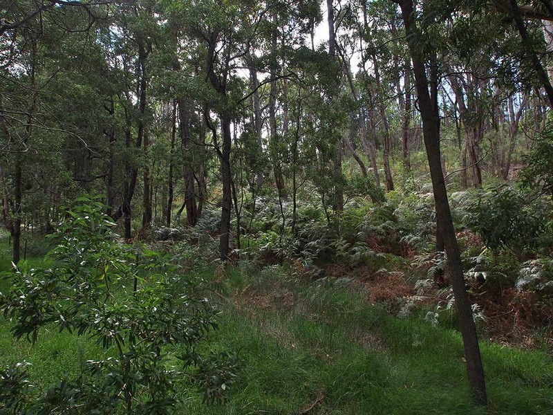 56 Cave Avenue, Bridgewater SA 5155