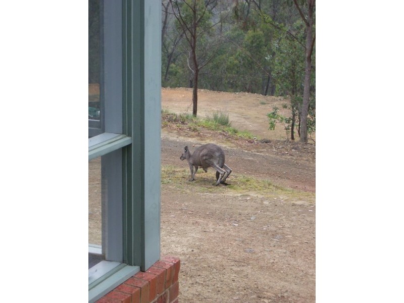 45 Shorts Road, Research VIC 3095