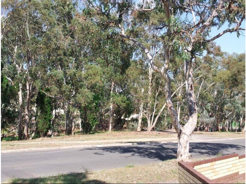 82 Hancock Road, St Agnes SA 5097