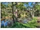 2713 Nerang Murwillumbah Road, Numinbah Valley QLD 4211
