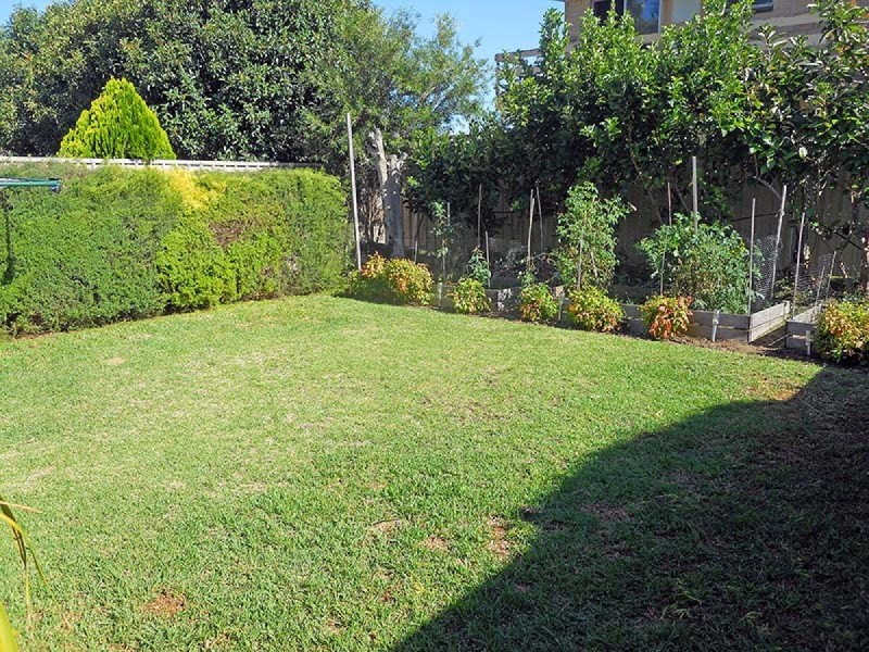 31 Richardson Avenue, Tranmere SA 5073
