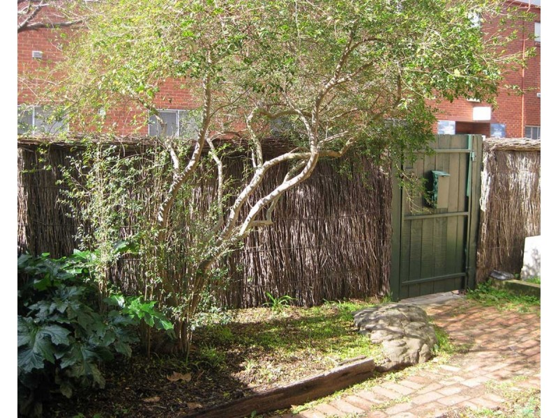 13 Woods Street, Norwood SA 5067