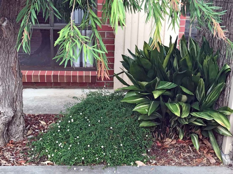 3/8 Chapel Street, Campbelltown SA 5074