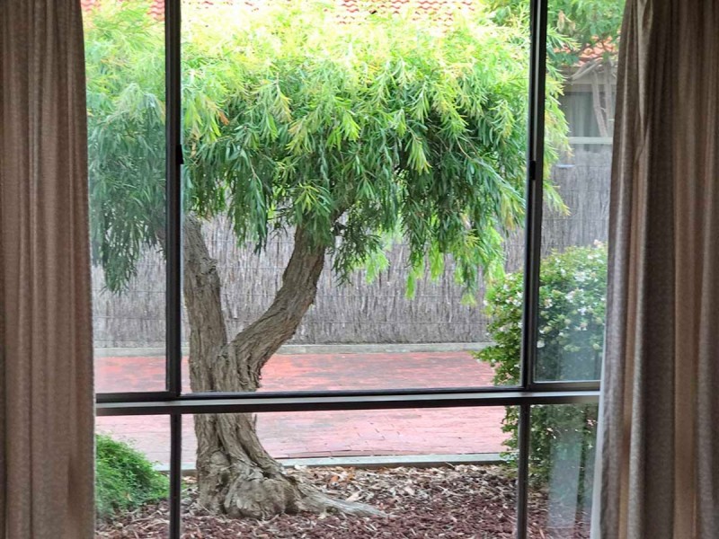 3/8 Chapel Street, Campbelltown SA 5074