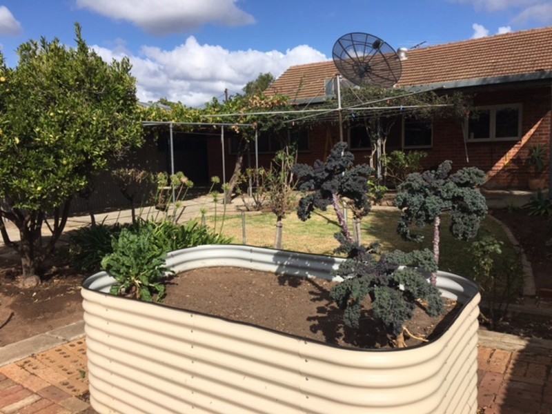 4 Harley Road, Croydon Park SA 5008