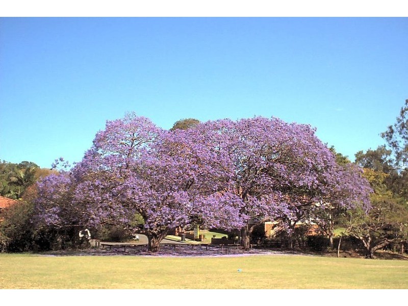 4/59 Park Street, Coorparoo QLD 4151