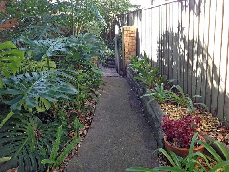 8/42 Wentworth Road, Burwood NSW 2134