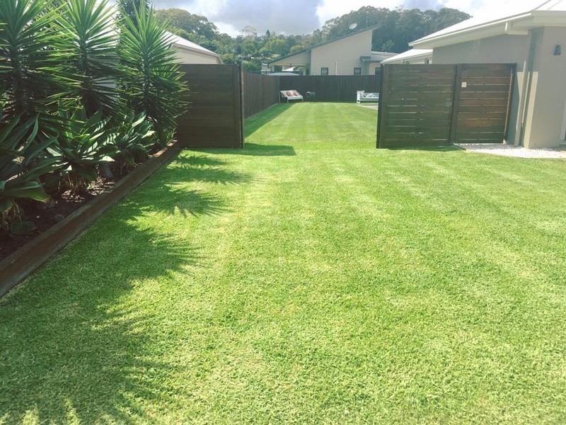 3 Corella Street, Forest Glen QLD 4556