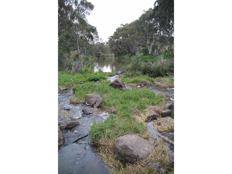 2/53 Riverside Avenue, Avondale Heights VIC 3034