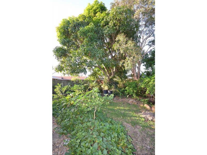 15 Honeysuckle Drive, Bokarina QLD 4575