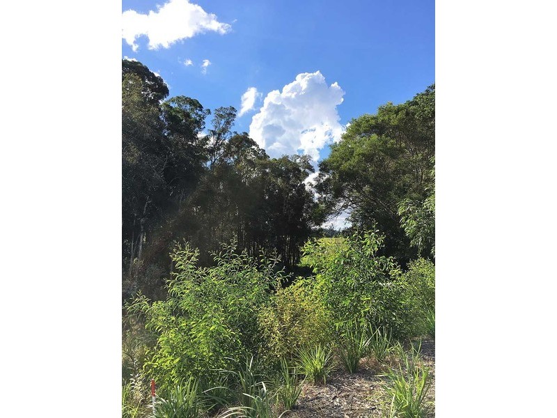 8 Ironwood Crescent, Beerwah QLD 4519