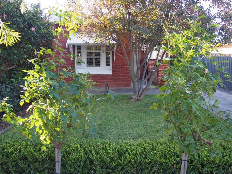 8 Mansfield Street, Goodwood SA 5034