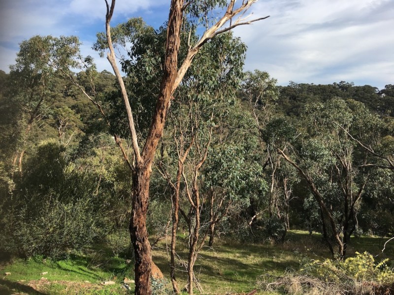 7A Euro Avenue, Eden Hills SA 5050