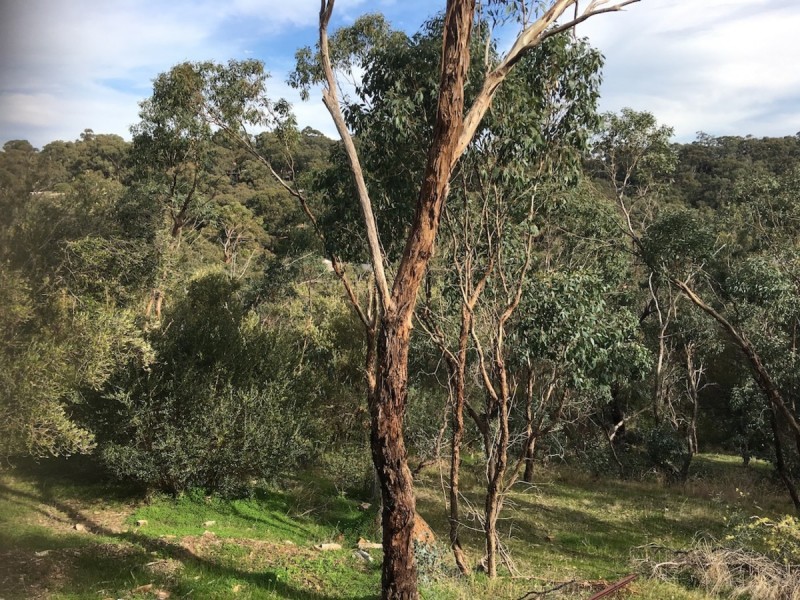 7A Euro Avenue, Eden Hills SA 5050