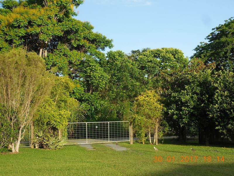 114 Maitland Road, Gordonvale QLD 4865