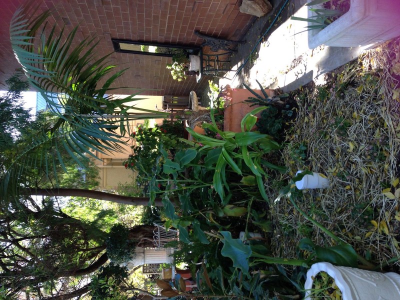 1/122 Edward Street, Norwood SA 5067