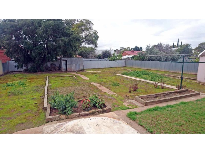 19 Elizabeth Street, Torrensville SA 5031