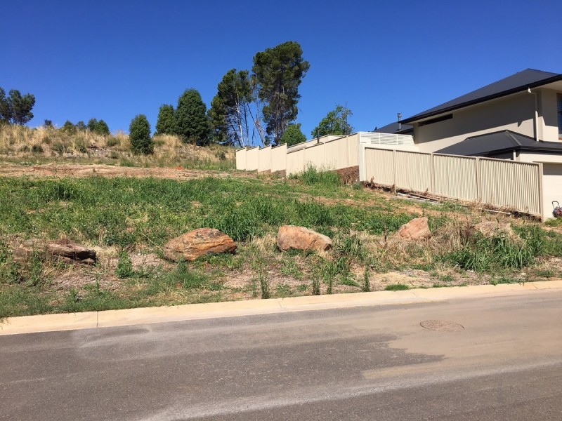 14 Filippo Court, Highbury SA 5089