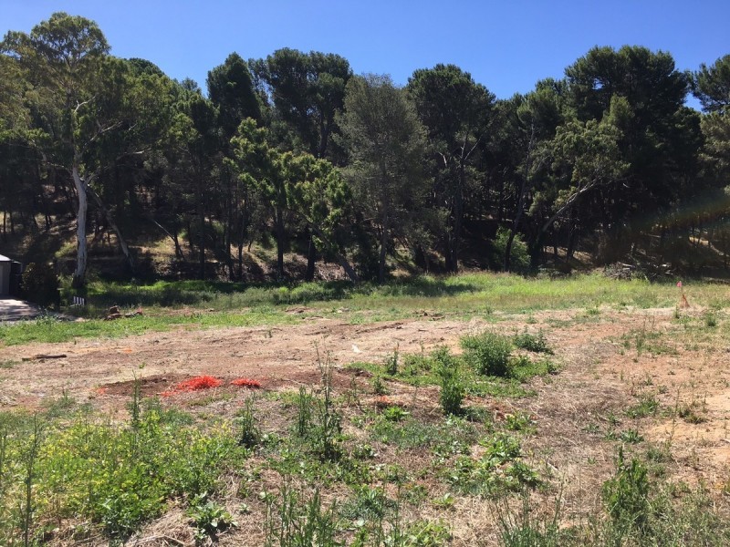 14 Filippo Court, Highbury SA 5089