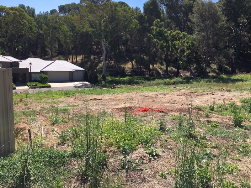 14 Filippo Court, Highbury SA 5089