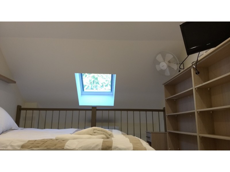 3C Botany Street, Randwick NSW 2031