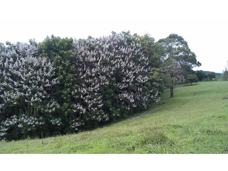 421 Kings Road, Eureka NSW 2480